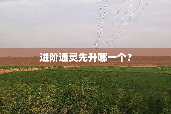 进阶通灵先升哪一个？