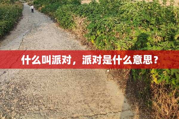 什么叫派对，派对是什么意思？