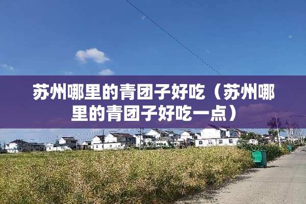 苏州哪里的青团子好吃（苏州哪里的青团子好吃一点）