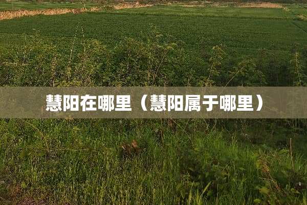 慧阳在哪里（慧阳属于哪里）