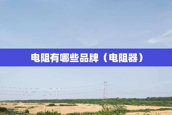 电阻有哪些品牌（电阻器）
