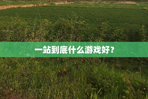 一站到底什么游戏好？
