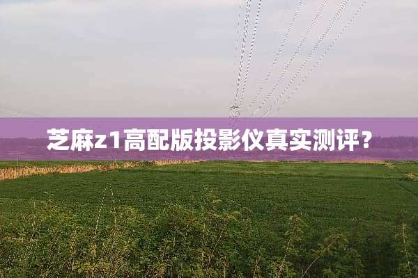 芝麻z1高配版投影仪真实测评？
