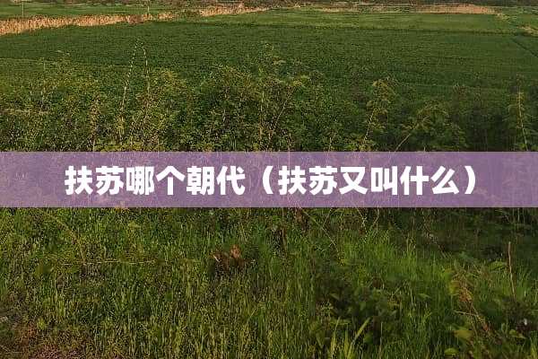 扶苏哪个朝代（扶苏又叫什么）