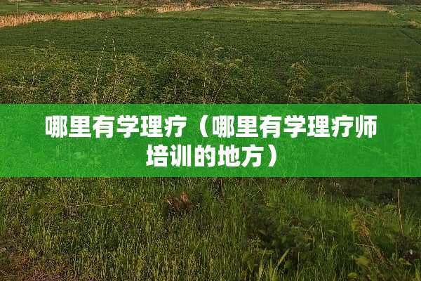 哪里有学理疗（哪里有学理疗师培训的地方）