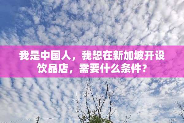 我是中国人，我想在新加坡开设饮品店，需要什么条件？