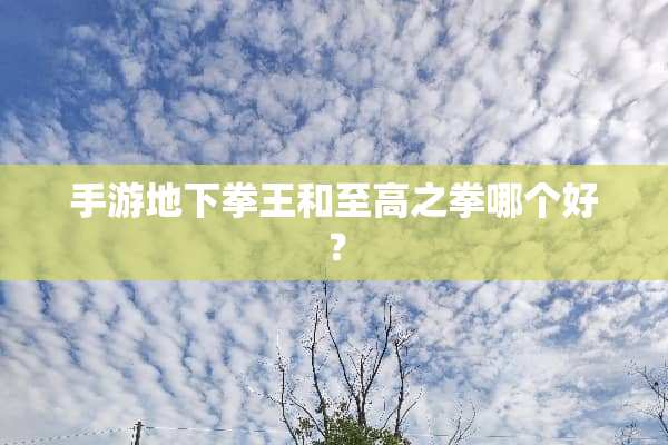 手游**拳王和至高之拳哪个好？
