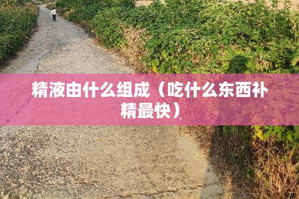 **由什么组成（吃什么东西补精最快）