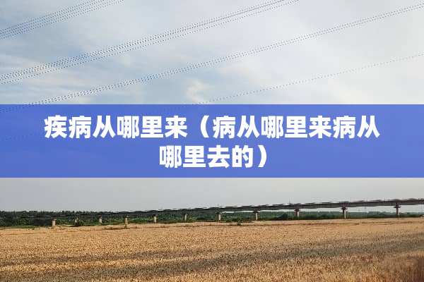 疾病从哪里来（病从哪里来病从哪里去的）