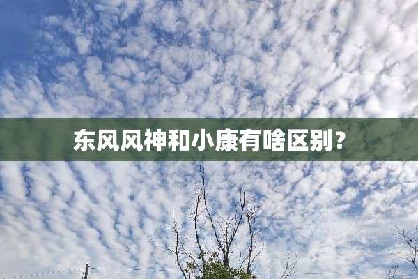 东风风神和小康有啥区别？