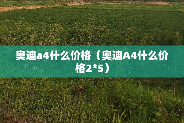 奥迪a4什么价格（奥迪A4什么价格2*5）