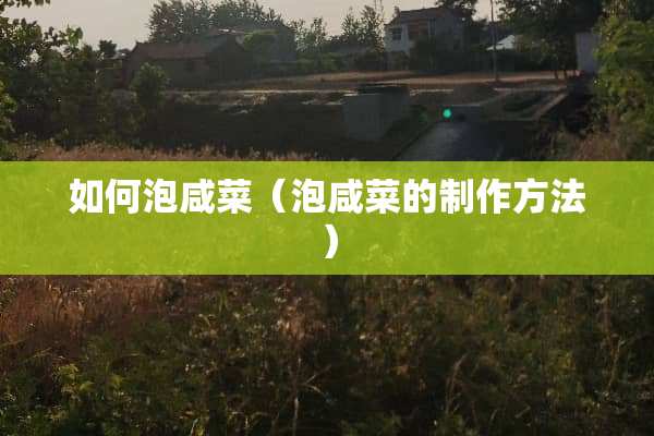 如何泡咸菜（泡咸菜的制作方法）