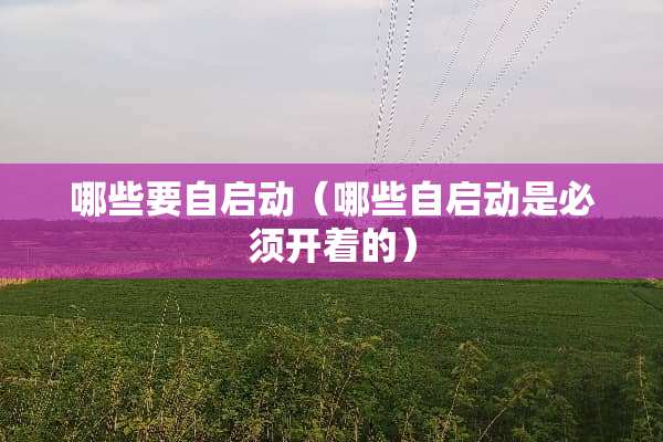 哪些要自启动（哪些自启动是必须开着的）