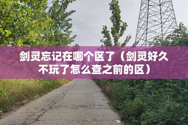 剑灵忘记在哪个区了（剑灵好久不玩了怎么查之前的区）