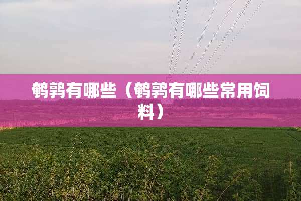 鹌鹑有哪些（鹌鹑有哪些常用饲料）