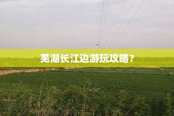芜湖长江边游玩攻略？
