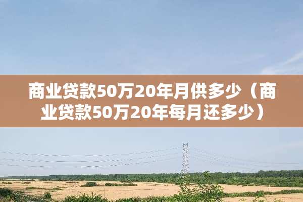 商业贷款50万20年月供多少（商业贷款50万20年每月还多少）