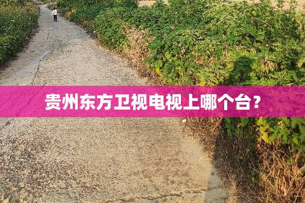 贵州东方卫视电视上哪个台？