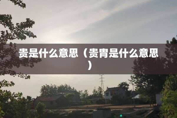 贵是什么意思（贵胄是什么意思）