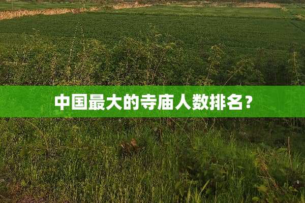 中国最大的寺庙人数排名？