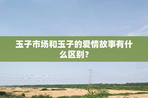 玉子市场和玉子的爱情故事有什么区别？