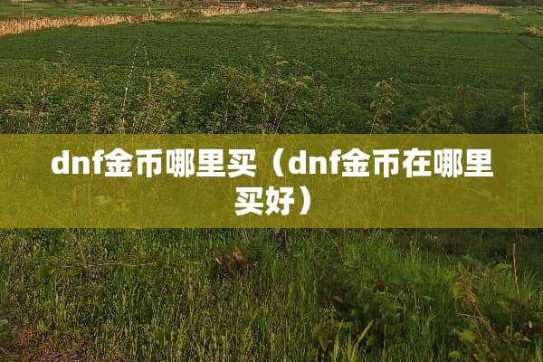 dnf金币哪里买（dnf金币在哪里买好）