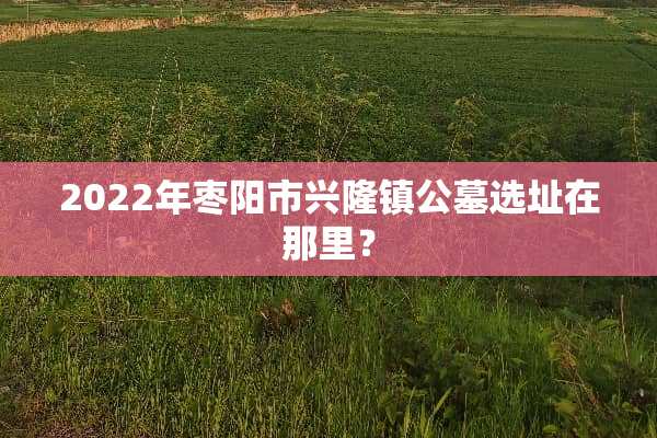 2022年枣阳市兴隆镇公墓选址在那里？