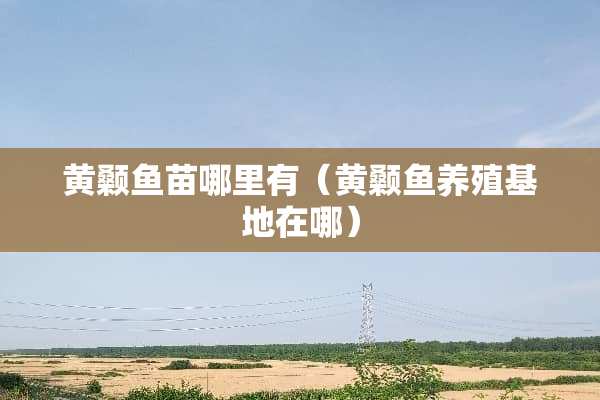 黄颡鱼苗哪里有（黄颡鱼养殖基地在哪）