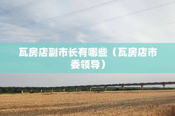 瓦房店副市长有哪些（瓦房店市委领导）