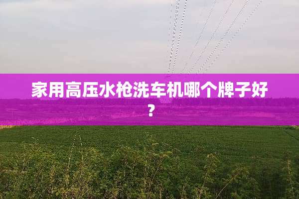 家用高压水*洗车机哪个牌子好？