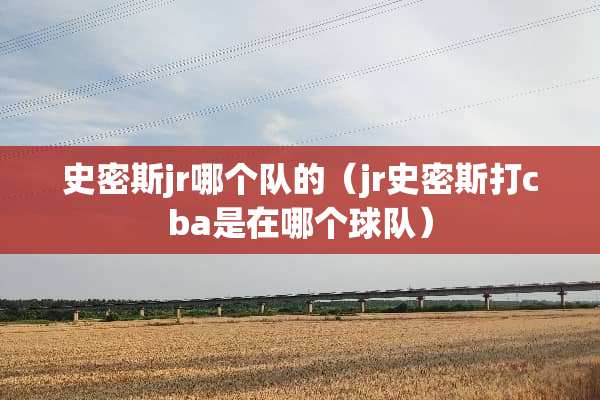史密斯jr哪个队的（jr史密斯打cba是在哪个球队）