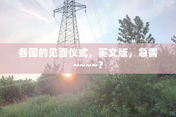 各国的见面仪式，英文版，急需~~~~？