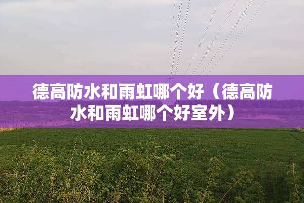 德高防水和雨虹哪个好（德高防水和雨虹哪个好室外）