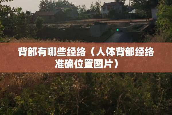 背部有哪些经络（人体背部经络准确位置图片）