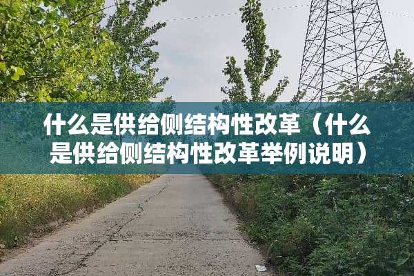 什么是供给侧结构性改革（什么是供给侧结构性改革举例说明）