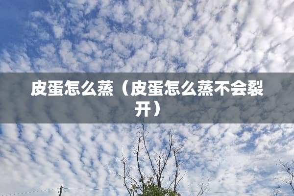 皮蛋怎么蒸（皮蛋怎么蒸不会裂开）