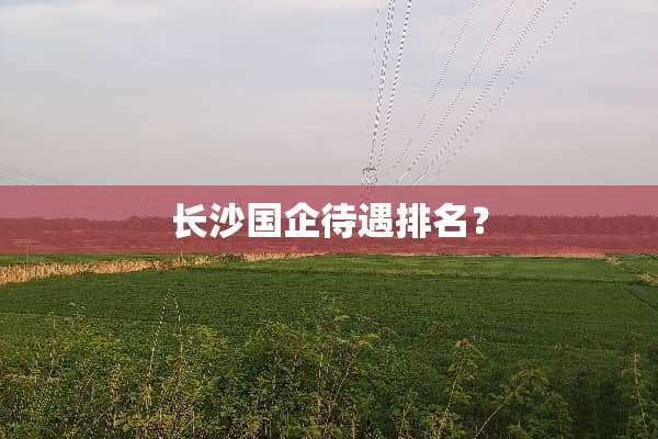 长沙国企待遇排名？