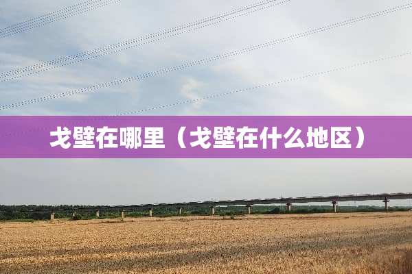 戈壁在哪里（戈壁在什么地区）