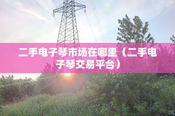 二手电子琴市场在哪里（二手电子琴交易平台）