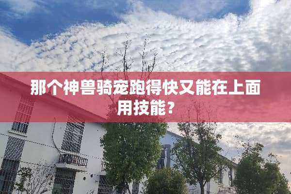 那个神兽骑宠跑得快又能在上面用技能？