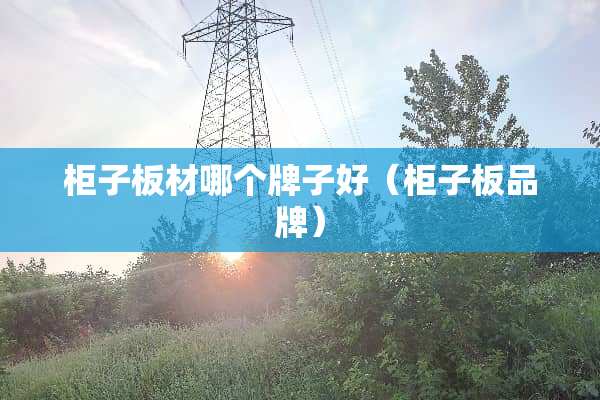 柜子板材哪个牌子好（柜子板品牌）