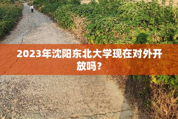 2023年沈阳东北大学现在对外开放吗？