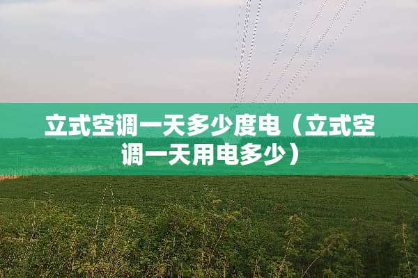 立式空调一天多少度电（立式空调一天用电多少）