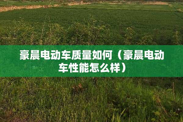 豪晨电动车质量如何（豪晨电动车性能怎么样）