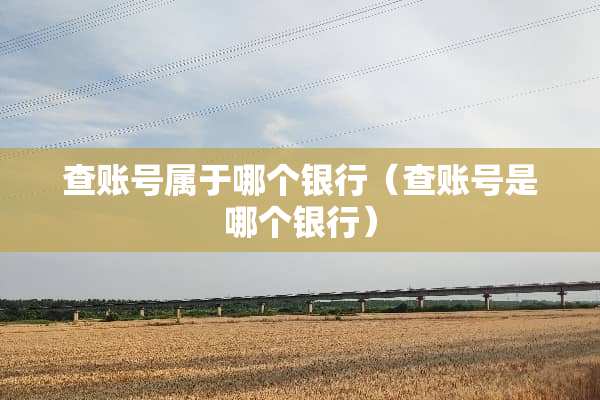 查账号属于哪个银行（查账号是哪个银行）