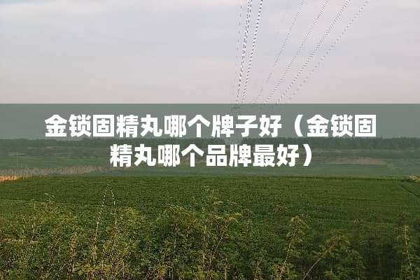 金锁固精丸哪个牌子好（金锁固精丸哪个品牌最好）