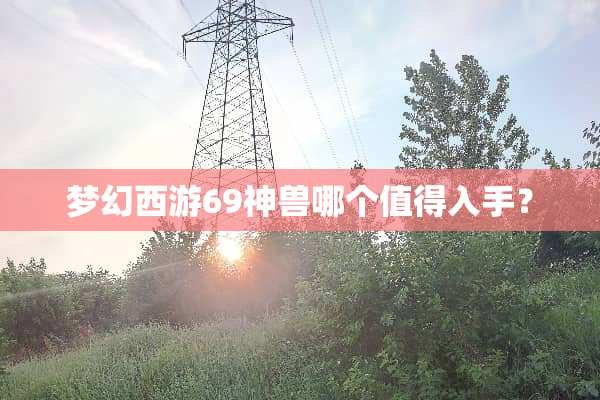 梦幻西游69神兽哪个值得入手？