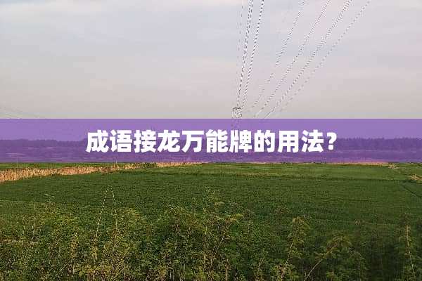 成语接龙万能牌的用法？