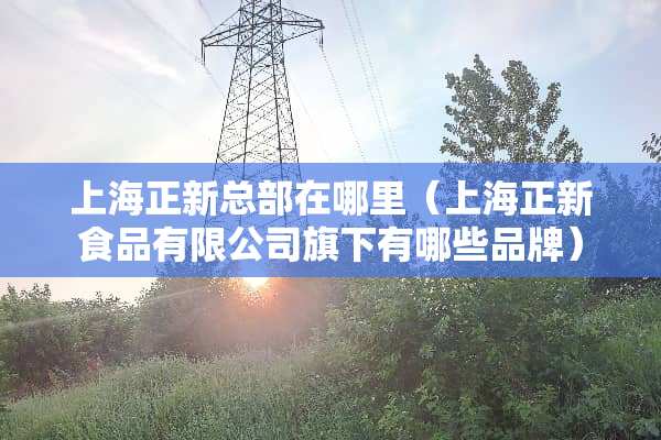 上海正新总部在哪里（上海正新食品有限公司旗下有哪些品牌）