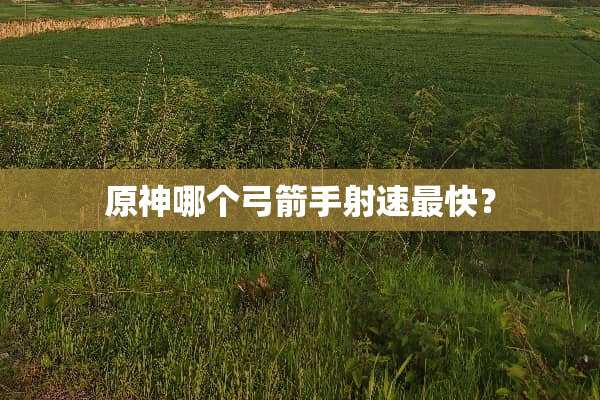 原神哪个弓箭手射速最快？